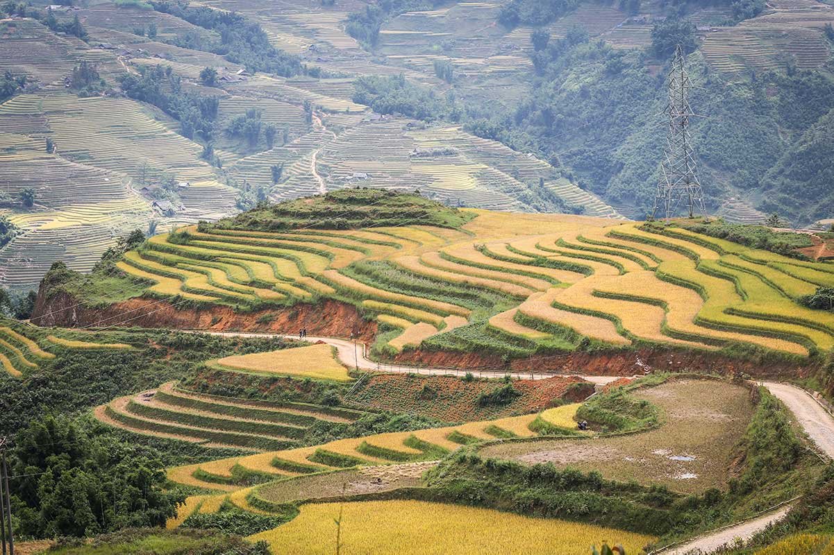 Sapa 1 Day Hike